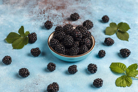 When Should You Prune Blackberry Bushes?