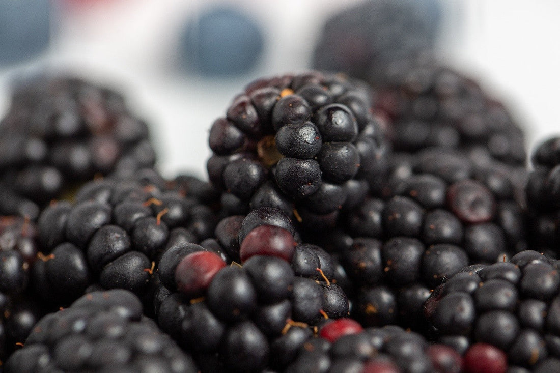 Worried About Shipping? How to Safely Buy Blackberry Plants Online