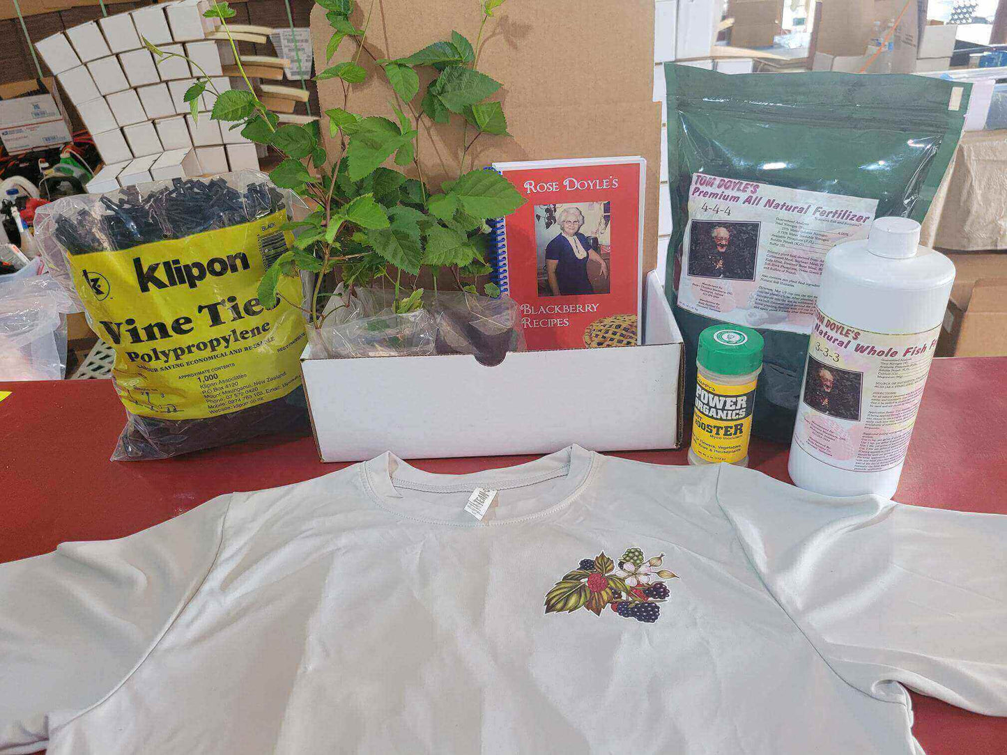 Blackberry Starter Bundle featuring plants, fertilizers, cookbook, ties, and a t-shirt for families and market growers.
