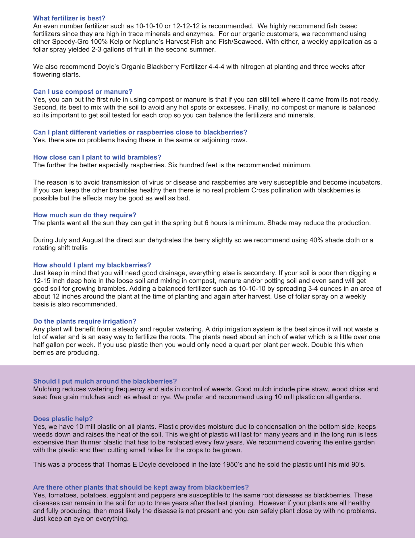 Doyle's Thornless Blackberry Starter Bundle Kit