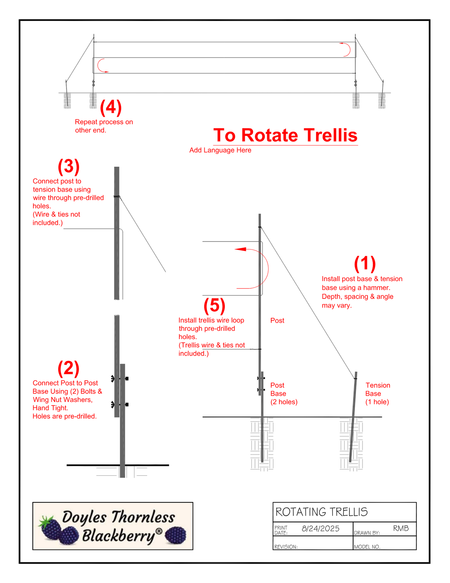 Doyle's Thornless Blackberry Bundles With Trellis Kits