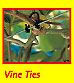 Kiwi Klipon Vine Trellis And Tree Ties Reusable Garden Aid