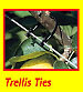 Kiwi Klipon Vine Trellis And Tree Ties Reusable Garden Aid