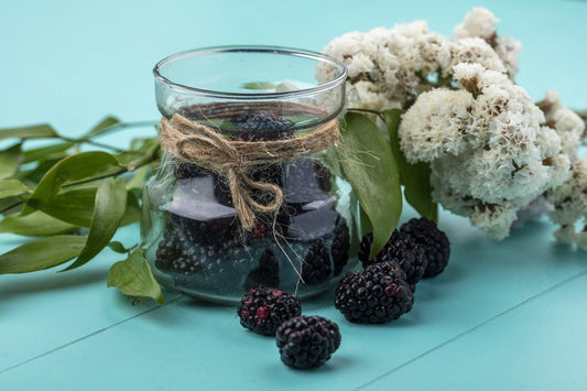 Common Fertilizer Mistakes That Hurt Blackberry Growth