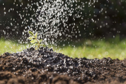 Is Liquid Concentrate Fertilizer the Missing Link in Crop Yield Gains?