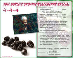 Tom Doyle's Organic Blackberry Special 4-4-4 details and blackberries on display.