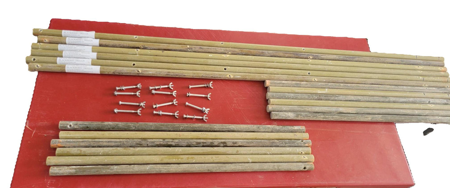 Doyle Trailing Blackberry Shift Trellis components including fiberglass poles and stainless steel anchors for easy plant training.