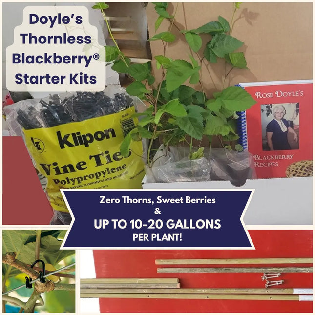 Doyle Blackberry® Starter Kits