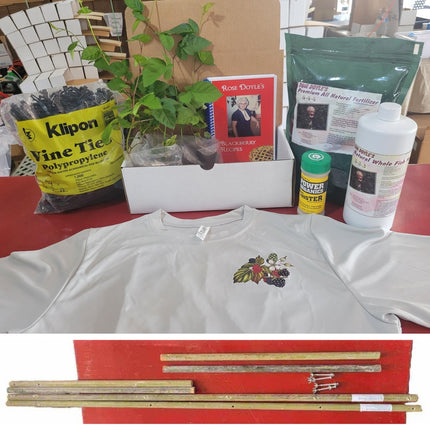 Blackberry Plant Trellis