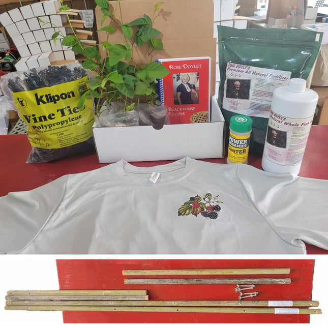 Blackberry Plant Trellis