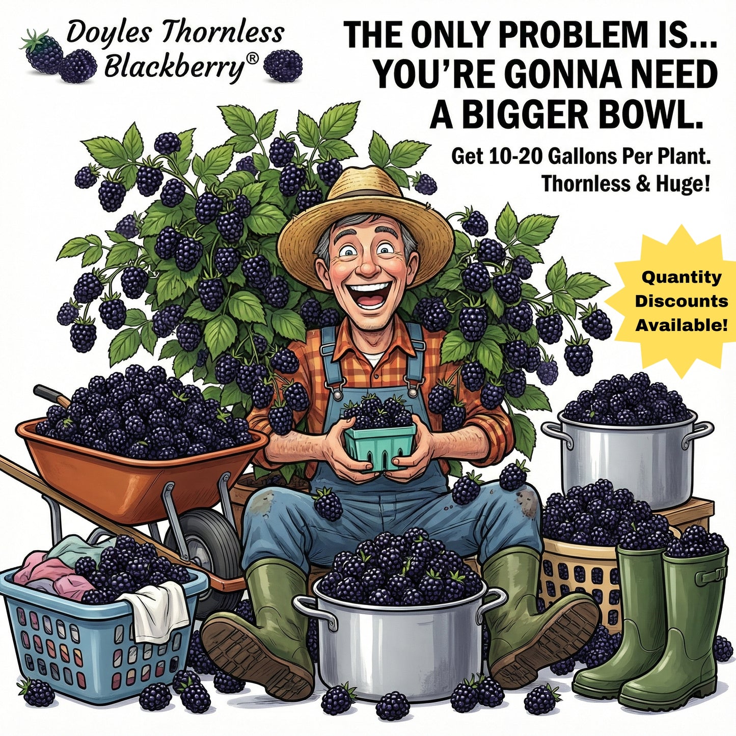 Doyle's Thornless Blackberry® Plants - High Yield Fruit Canes
