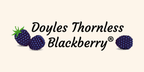 Doyle Blackberry, Inc.