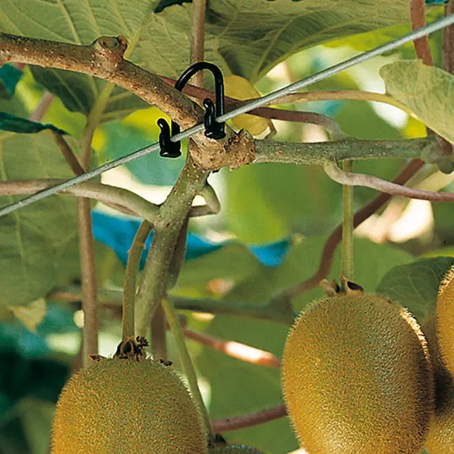 Kiwi Klipon Vine Ties - Reusable Trellis & Tree Support Clips
