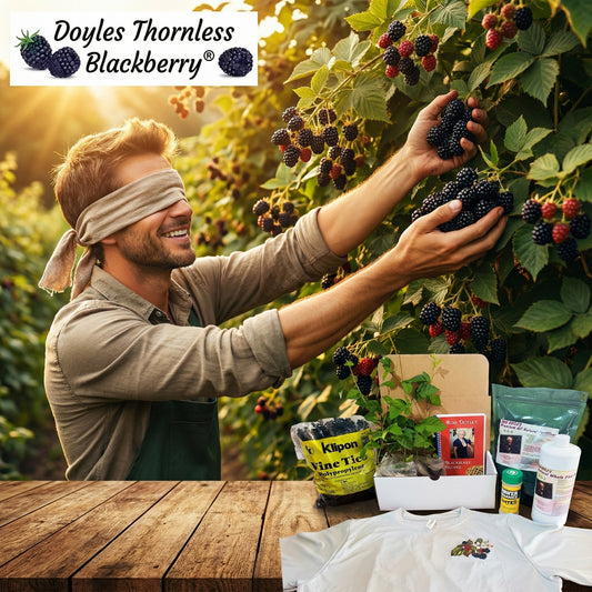 Doyle's Thornless Blackberry®  Bundle Kit