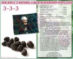 Tom Doyle's 3-3-3 liquid blackberry fertilizer label with blackberries, featuring nutrient analysis and details.